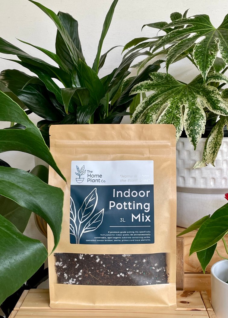 Indoor Potting Mix 3L - The Home Plant Co