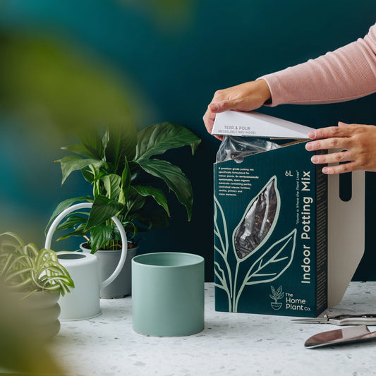 Box of indoor potting mix on a bench beside plants and pots, with a hand demonstrating how to tear off the box